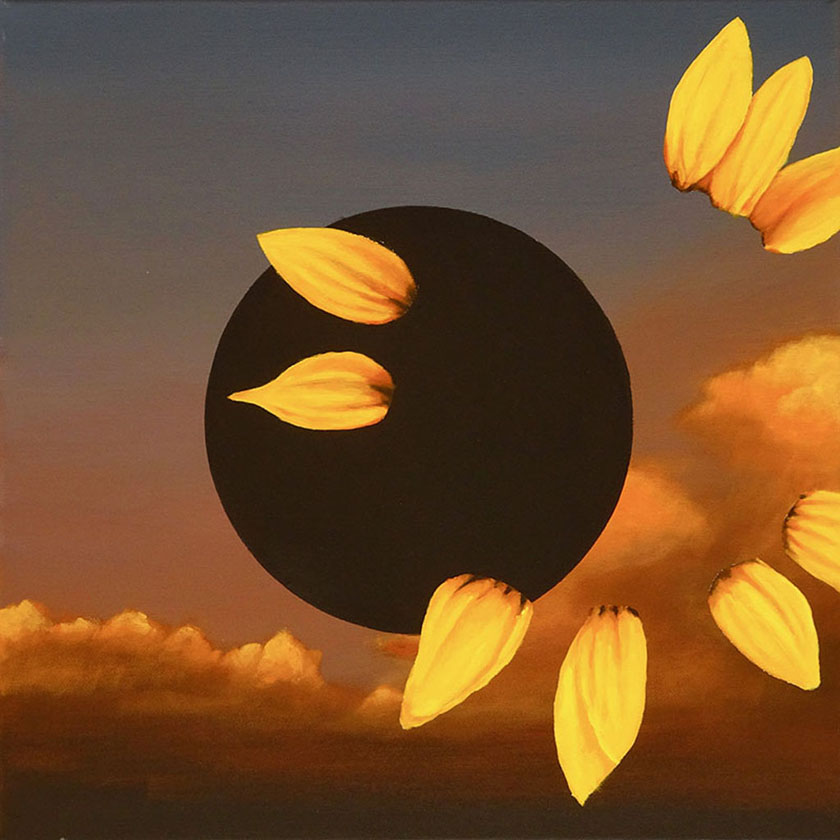 Zonnebloem bij zonsverduistering Zonnebloem bij zonsverduistering
