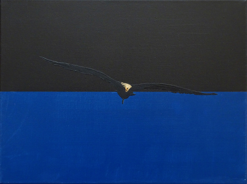 Meeuw zwart blauw